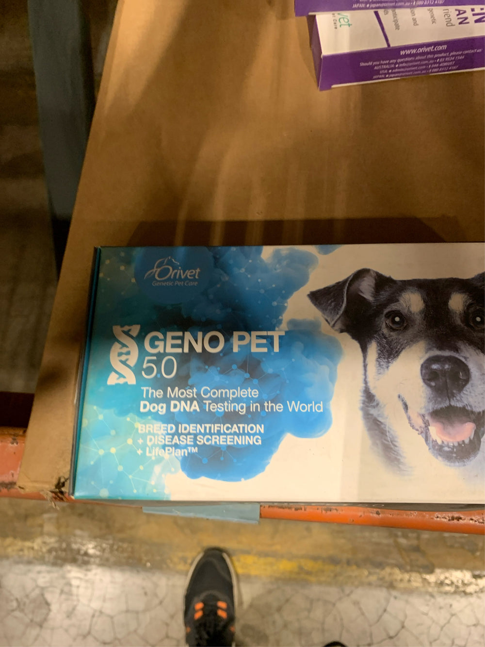 ORIVET Dog Breed DNA + Health Test - 1 Pack, Genopet+ Breed ID Kit | Comprehensive Canine Breed Identification Kit, Genetic Health Screening & Life -B8-1201 -B8-1202 -B8-1203 -K2-1388 -K2-1392 -K2-1396