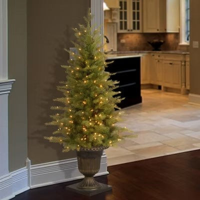 National Tree Co. Nordic Spruce Entrance 4 Foot Pre-Lit Spruce Christmas Tree - H8 - 1148
