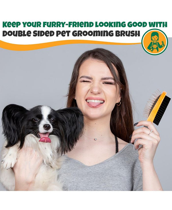 Precious Tails Dog Brush, Cat Brush, Pet Detangling Grooming Brush, Double Sided Soft Bristles Slicker Brush for Hair Removal of Pets - Green - S -F9-0118