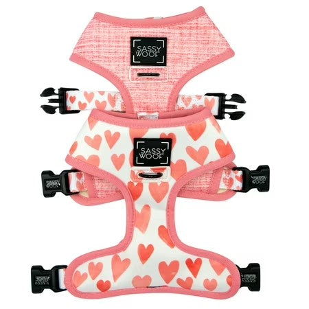 Dolce Rose Dog Reversible Harness - Extra Small -F11-0202