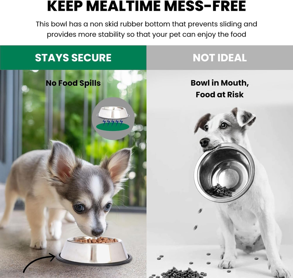 Iconic Pet Stainless Steel Non-Skid Pet Bowl, Rust Free, Odor Resistant, Ideal for Dogs and Cats -J11-0610