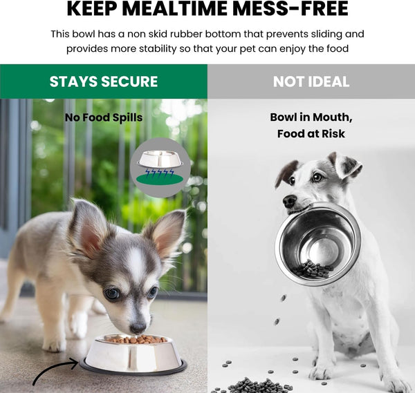 Iconic Pet Stainless Steel Non-Skid Pet Bowl, Rust Free, Odor Resistant, Ideal for Dogs and Cats -J11-0610