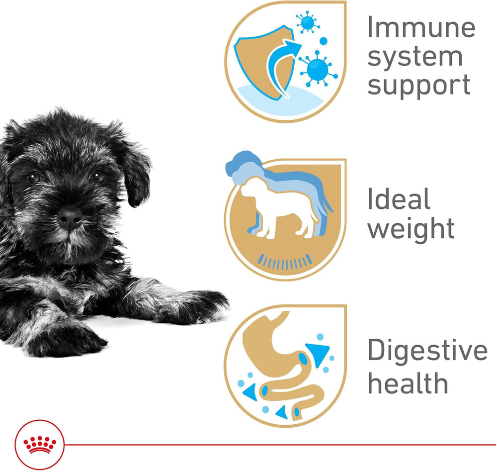 Royal Canin Breed Health Nutrition Miniature Schnauzer Puppy Dry Dog Food, 2.5 lb Bag - K13 - 622