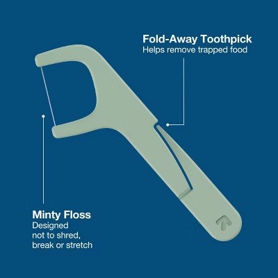 Floss Picks Mint - 160ct - C4 - 371