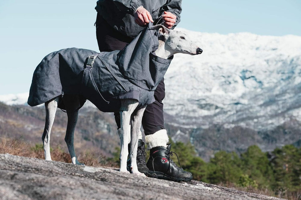 Hurtta Expedition Parka, Winter Dog Coat, BlackBerry, 16 in - K12 - 602