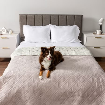 PetAmi Waterproof Bed Cover for Dogs, Waterproof Pet Blanket Couch Cover, Reversible Furniture Cover Sofa Protector for Pet Cat Bed, Washable Waterproof Blanket Dog Cover for Couch Seat, 102x82 Beige -J10-1656