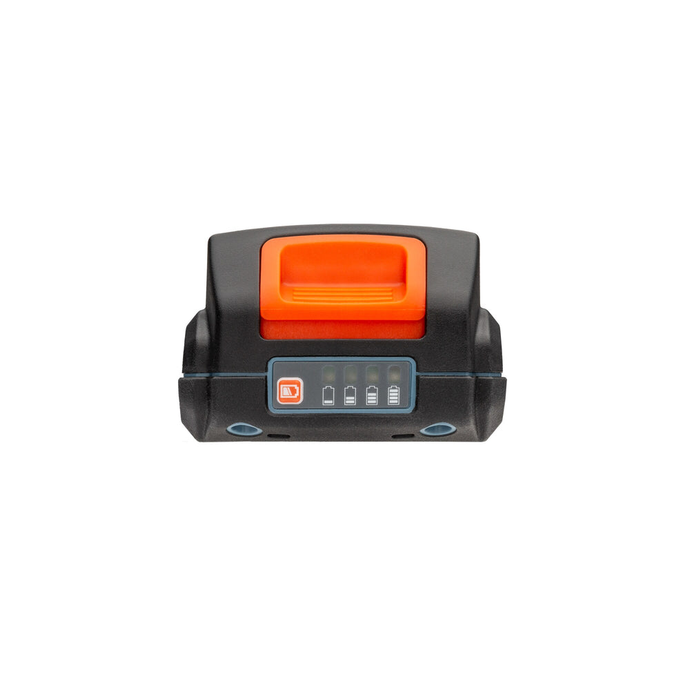 SENIX X2 20-Volt 2.5 Ah, Lithium Ion (li-ion) Battery 1659
