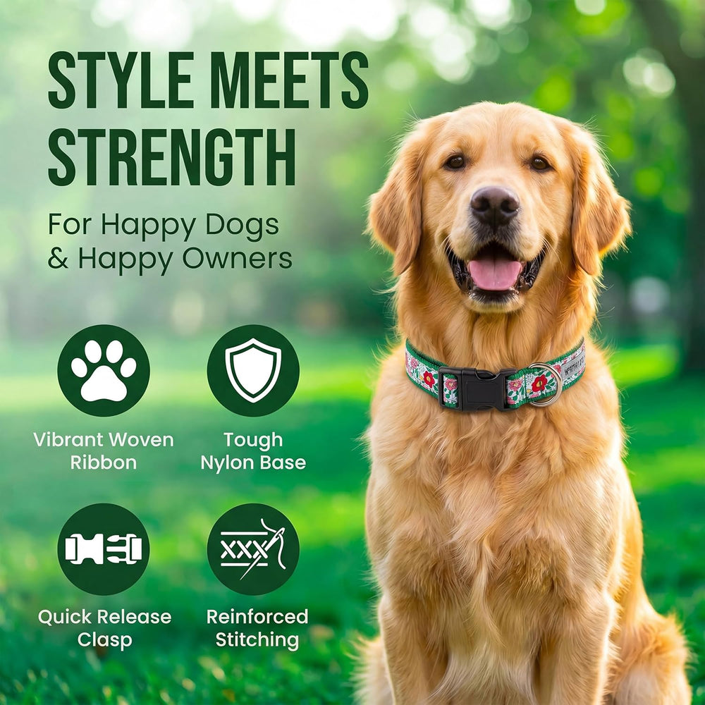 THE WORTHY DOG Adjustable Dog Collar for Medium Dogs, Durable Nylon Webbing, Quick Release Buckle, Spring Garden Floral Pattern, Coral, Medium -F6 - 1811
