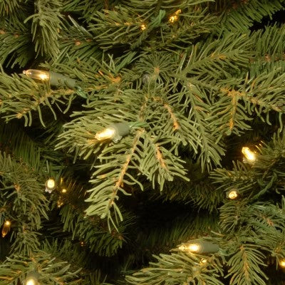 National Tree Co. Nordic Spruce Entrance 4 Foot Pre-Lit Spruce Christmas Tree - H8 - 1148