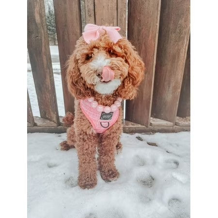 Dolce Rose Dog Reversible Harness - Extra Small -F11-0202