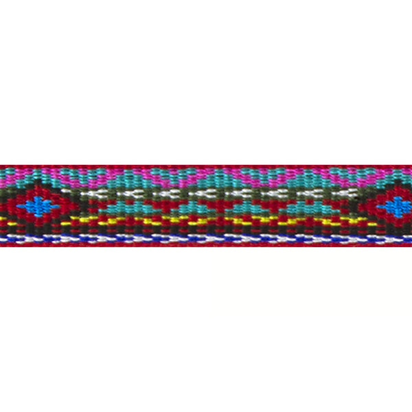 LupinePet Original Designs Multicolor El Paso Nylon Dog Leash -F11-0201