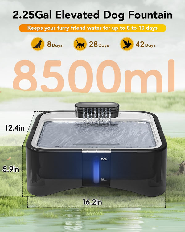 UPSKY 2.25Gal Elevated Dog Water Fountain, 4 Heights Adjustable Pet Fountain for All Dog Sizes, 304 Stainless Steel Tray Indoor Cat Drinking Dispenser with Ultra-Quiet Pump & 2 Replacement Filters - G6 - 1806