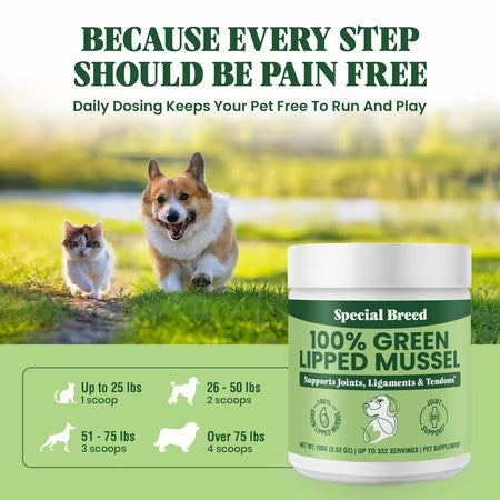 Special Breed Green Lipped Mussel Powder for Dogs & Cats - 100% New Zealand - Natural Hip & Joint Supplement for Joints, Tendons, Ligaments, Muscles - 100 Grams - Up to 332 Servings -K10-1645