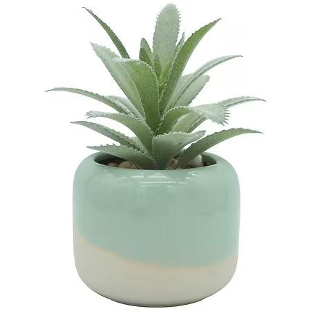 Festive Voice Garden Party Mini Faux Succulent - 1.0 ea - 623