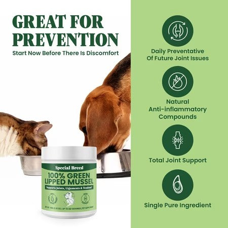 Special Breed Green Lipped Mussel Powder for Dogs & Cats - 100% New Zealand - Natural Hip & Joint Supplement for Joints, Tendons, Ligaments, Muscles - 100 Grams - Up to 332 Servings -K10-1645