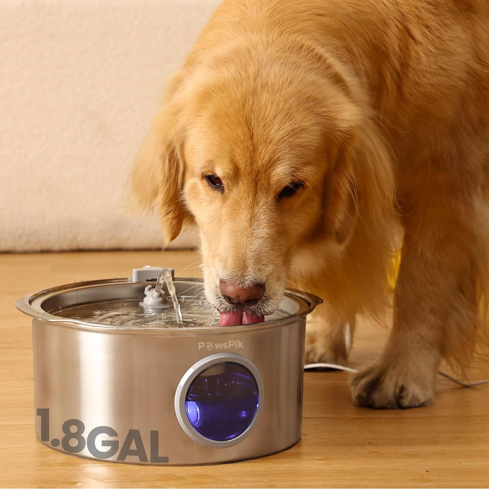 PawsPik Ultra-Quiet Stainless Steel Dog Water Fountain, 1.8-gal -K10-1673