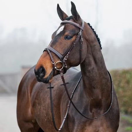 Horze Venice Snaffle Bridle Horse Dk Brown - B9 - 1525