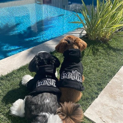 Parisian Pet 'Bestie Hoodie' in Black - Trendy Pet Hoodie for Dogs & Cats, Perfect for Fall & Winter-Valentine's Day M -G8-0189