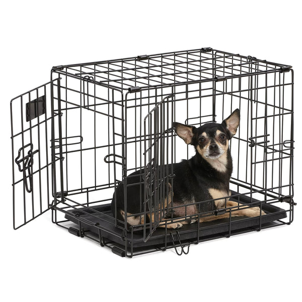 shopify auction