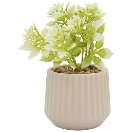 Festive Voice Garden Party Mini Faux Succulent - 1.0 ea - 624