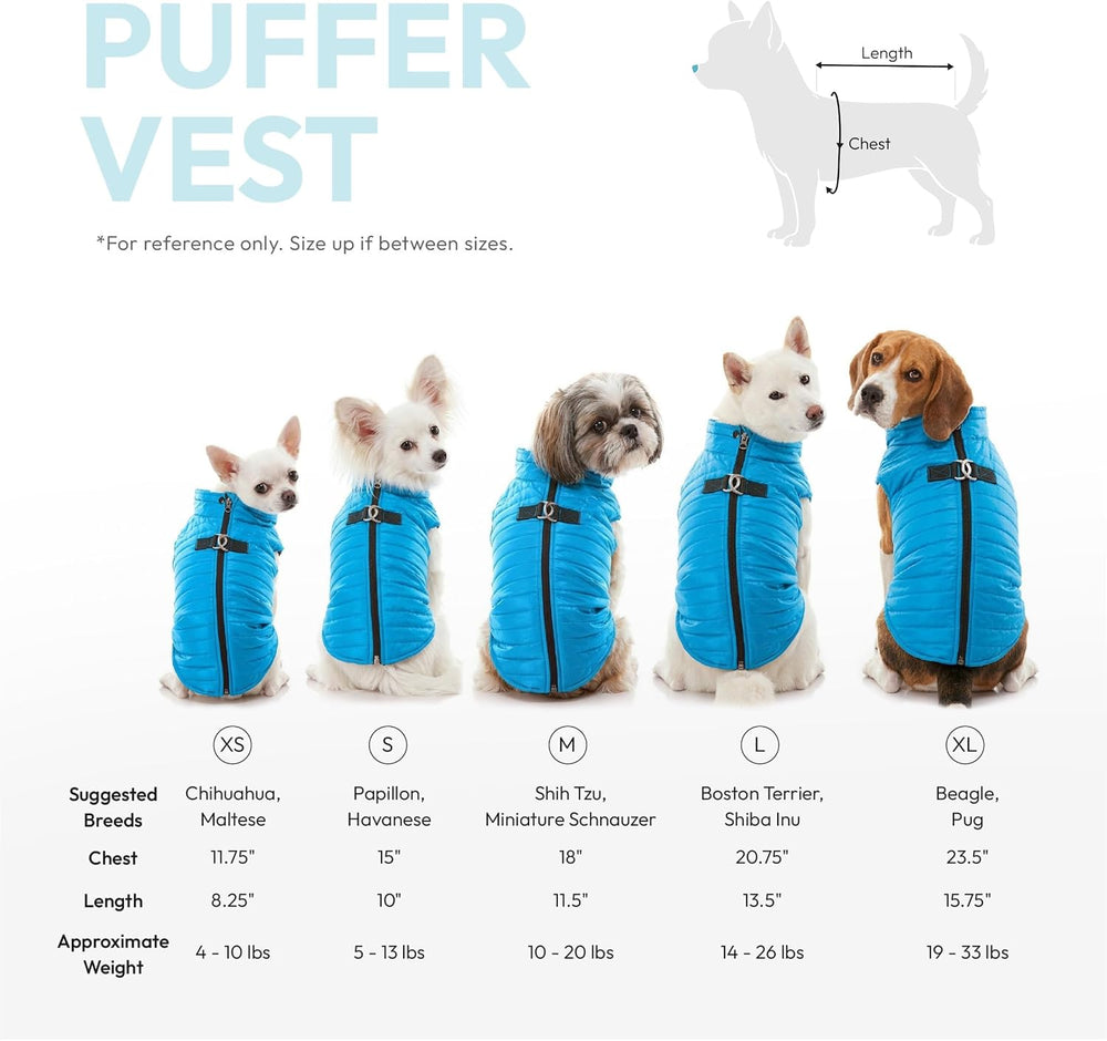 Gooby Puffer Vest - Turquoise, Medium Zip Up Windbreaker with D Ring Leash - Water Resistant Dog Sweater Coat for Small Dogs - L14 - 639