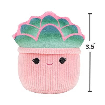 Squishmallows Afiyah the Succulent Squeaky Dog Plush Toy -B2-0452