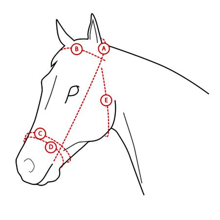 Horze Venice Snaffle Bridle Horse Dk Brown - B9 - 1526