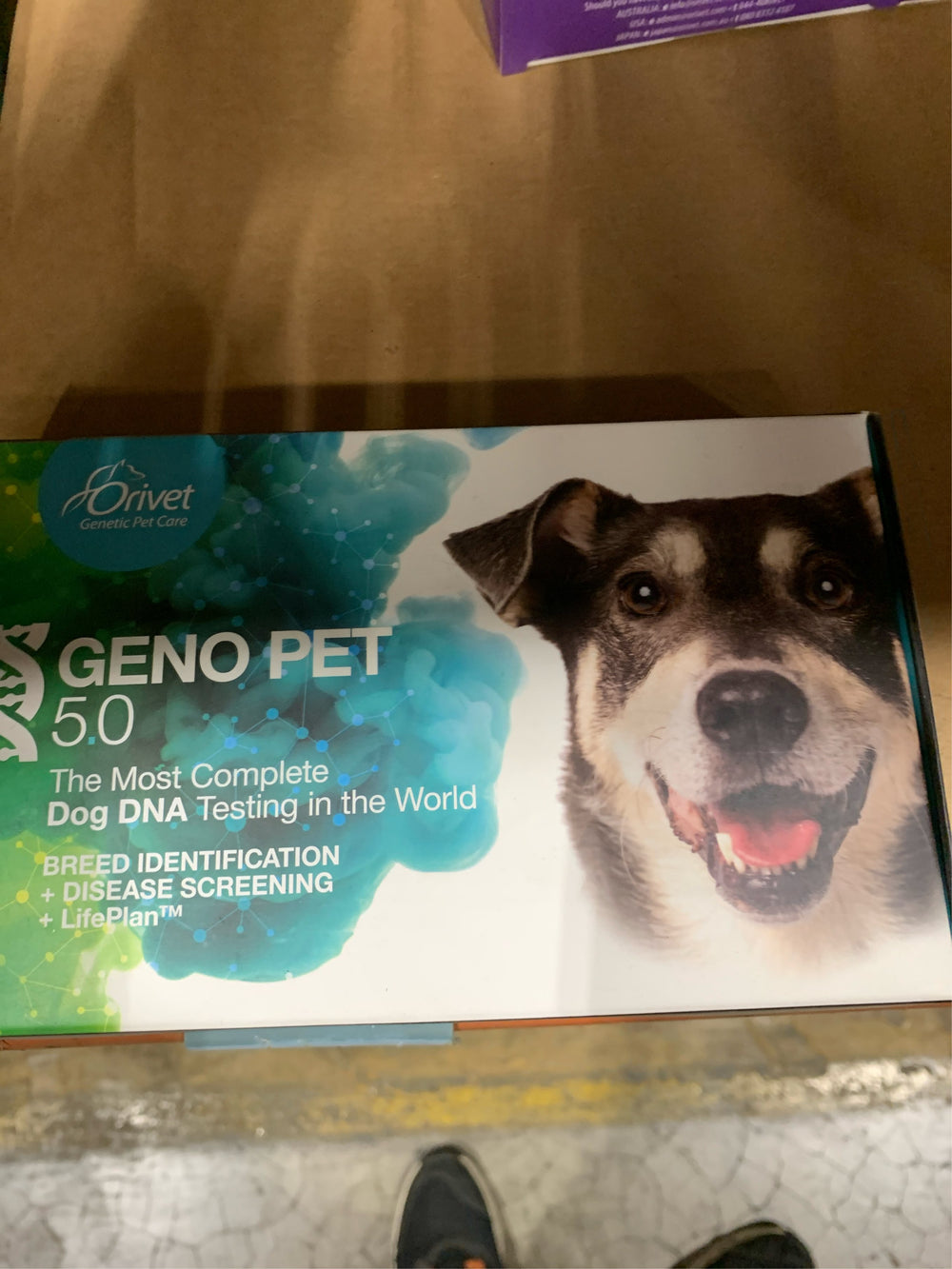 ORIVET Dog Breed DNA + Health Test - 1 Pack, Genopet+ Breed ID Kit | Comprehensive Canine Breed Identification Kit, Genetic Health Screening & Life -B8-1201 -B8-1202 -B8-1203 -K2-1388 -K2-1392