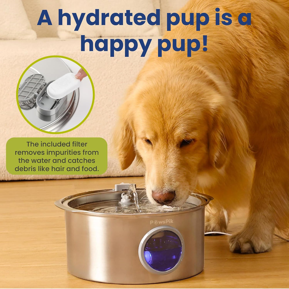 PawsPik Ultra-Quiet Stainless Steel Dog Water Fountain, 1.8-gal -K10-1673