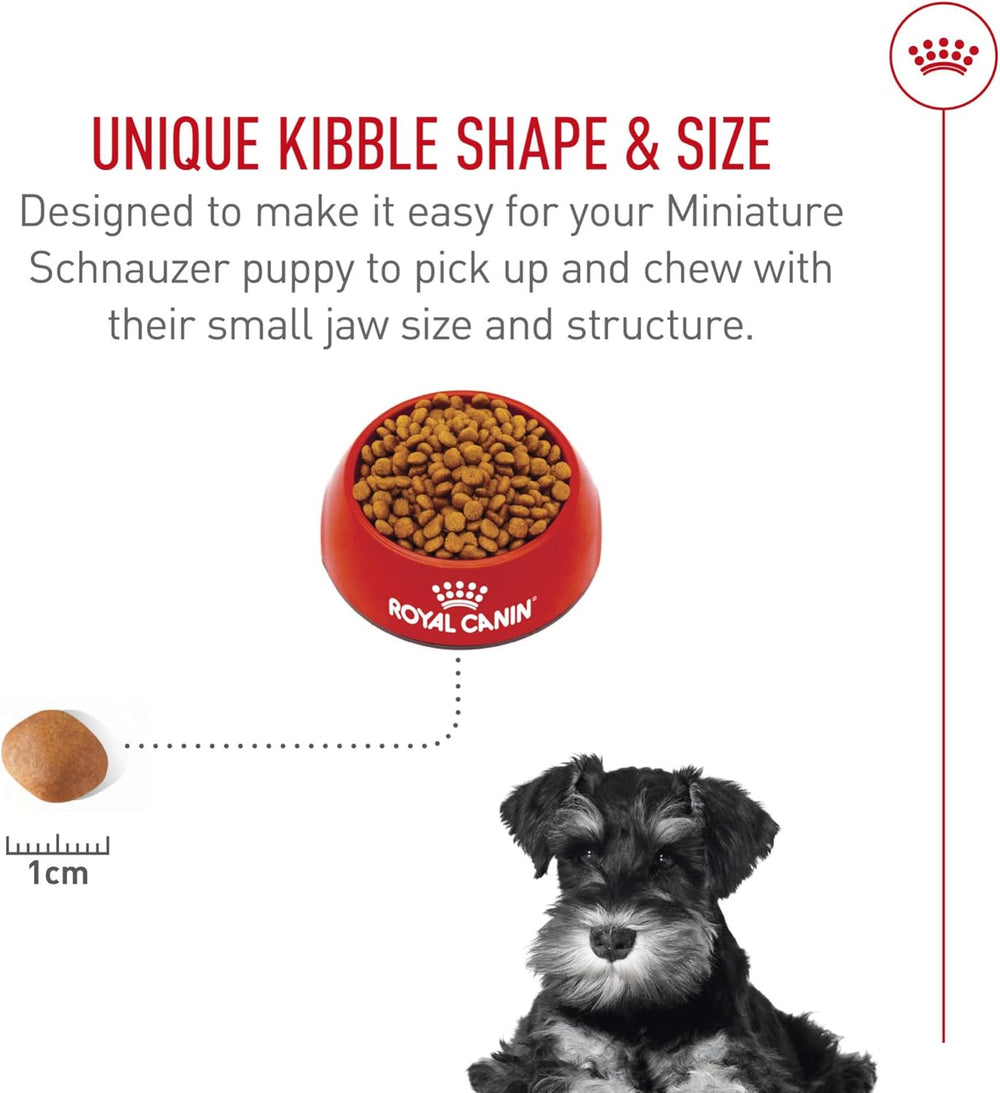 Royal Canin Breed Health Nutrition Miniature Schnauzer Puppy Dry Dog Food, 2.5 lb Bag - K13 - 622