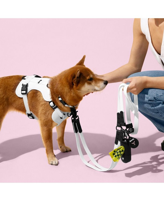 THE LICKER STORE, Luna 8FT Adjustable 6-in-1 Waterproof Hands-Free Leash and Collar with LED Flashlight, Bag Dispenser, and Poop Bag Holder - Multi - Large -J12-0633
