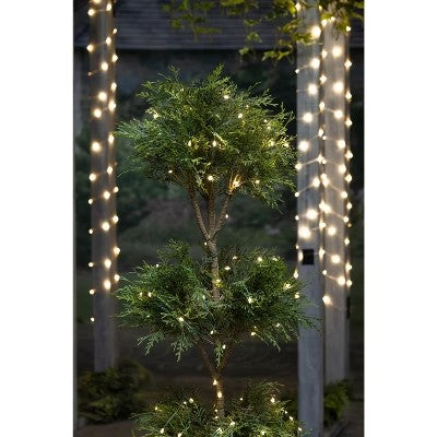 Everlasting Glow 50-ft L Warm White Micro LED Green String - L11 - 696