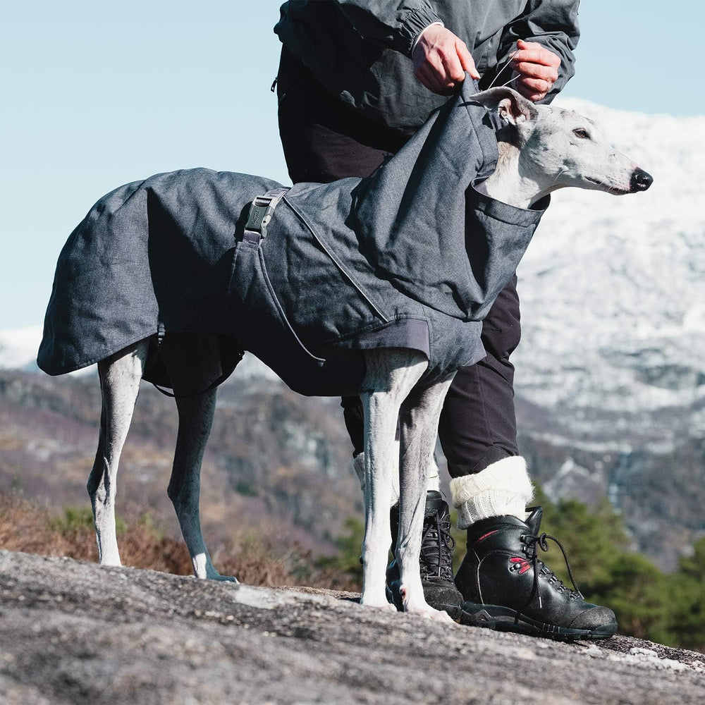 Hurtta Expedition Parka, Winter Dog Coat, BlackBerry, 16 in - K12 - 602