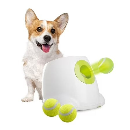 All For Paws Automatic Tennis Ball Launcher for Small to Medium Sized Dogs, 3 Balls Included, Mini - J10-1651